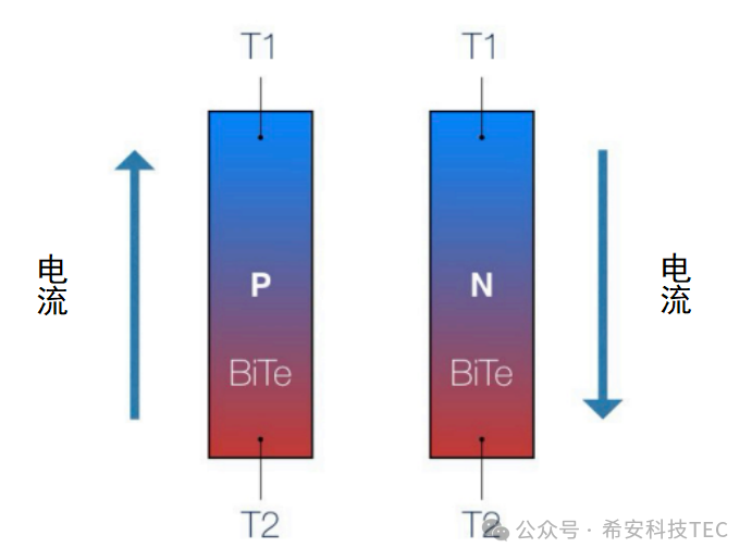 Come funziona il TEC?